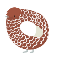 A russet and white chicken with a lace pattern