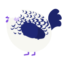 A white and navy chicken with a half-lace pattern