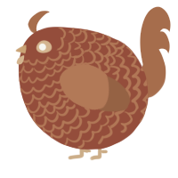 A russet and brown chicken with a lace pattern