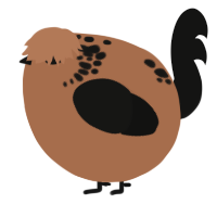 A brown and black chicken with a neck-speckle pattern