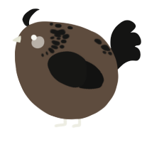 A bark and black chicken with a neck-speckle pattern