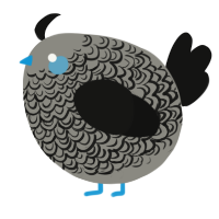 A ash and black chicken with a double-lace pattern