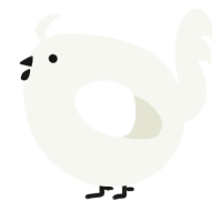 A white chicken