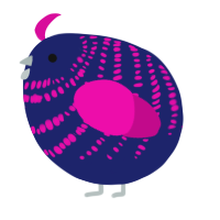 A navy and fuchsia chicken with a bar pattern