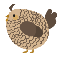 A beige and bark chicken with a lace pattern