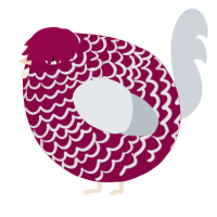 A maroon and mist chicken with a lace pattern