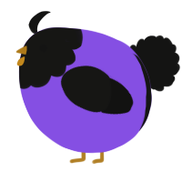A blurple and black chicken with a head pattern