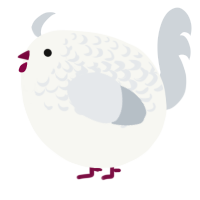 A white and mist chicken with a half-lace pattern