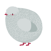 A silver chicken with a double-lace pattern