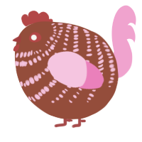 A russet and pink chicken with a bar pattern