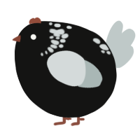 A black and silver chicken with a neck-speckle pattern