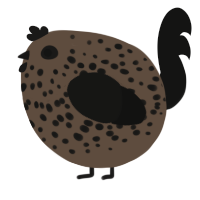 A bark and black chicken with a speckle pattern