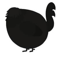A sable and black chicken with a head pattern