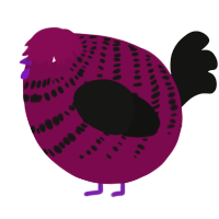 A wine and black chicken with a bar pattern