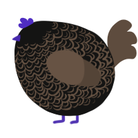 A black and bark chicken with a double-lace pattern