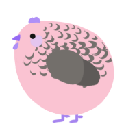 A rose and grey chicken with a half-lace pattern