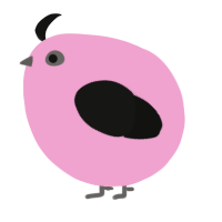 A pink and black chicken