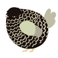 A sable and mist chicken with a lace pattern
