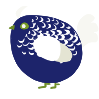 A navy and white chicken with a half-lace pattern