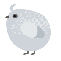 A mist chicken with a half-lace pattern