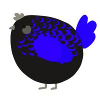 A sable and indigo chicken with a half-lace pattern