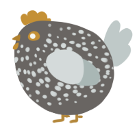 A grey and silver chicken with a speckle pattern