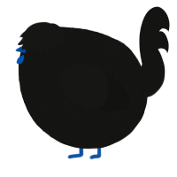 A black chicken with a lace pattern