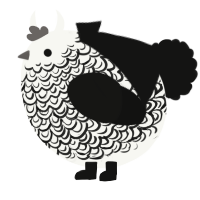 A white and black chicken with a double-lace pattern