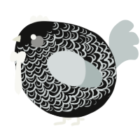 A black and silver chicken with a double-lace pattern