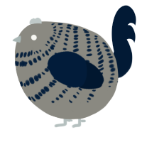 A ash and tumblr chicken with a bar pattern