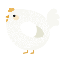 A white chicken with a double-lace pattern