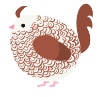A white and russet chicken with a double-lace pattern