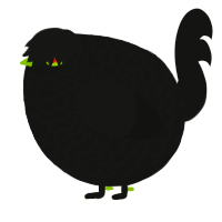 A black chicken with a lace pattern
