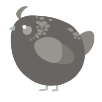 A grey and ash chicken with a neck-speckle pattern