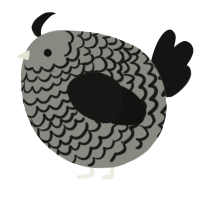 A ash and black chicken with a lace pattern