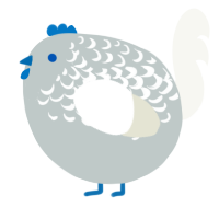A silver and white chicken with a half-lace pattern