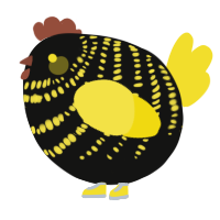 A black and yellow chicken with a bar pattern