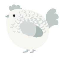 A white and silver chicken with a half-lace pattern