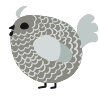 A ash and silver chicken with a lace pattern