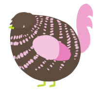 A bark and pink chicken with a bar pattern