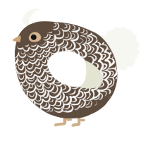 A bark and white chicken with a double-lace pattern