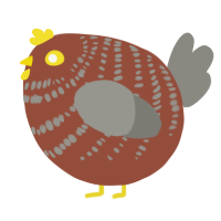 A russet and ash chicken with a bar pattern