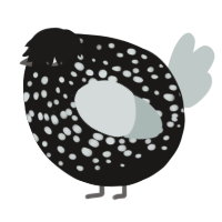 A sable and silver chicken with a speckle pattern