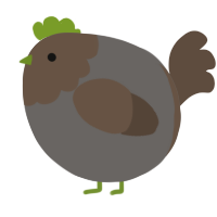 A grey and bark chicken with a head pattern