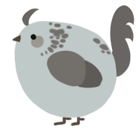 A silver and grey chicken with a neck-speckle pattern