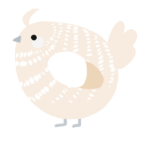 A cream chicken with a bar pattern