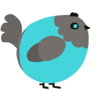 A aqua and grey chicken with a head pattern