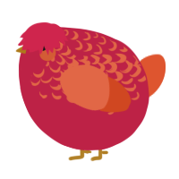 A crimson and vermilion chicken with a half-lace pattern