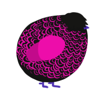 A black and fuchsia chicken with a double-lace pattern