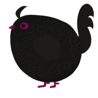 A black and sable chicken with a double-lace pattern